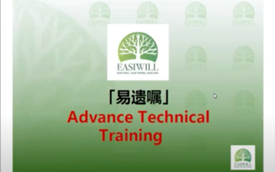 Easiwill – Advance Technical Will Writing (中文)