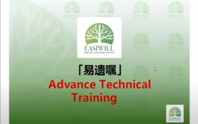 Easiwill – Advance Technical Will Writing (English)